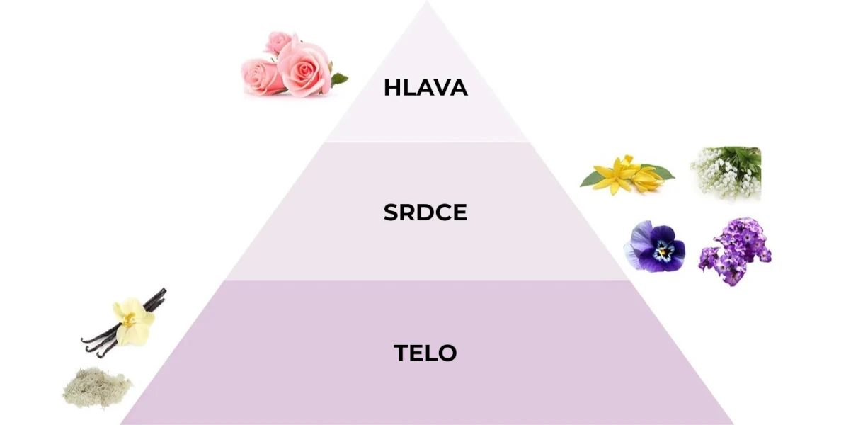 Pyramída vôní parfému do prania Dolci Carezze
